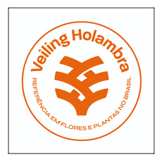 VEILLING HOLAMBRA